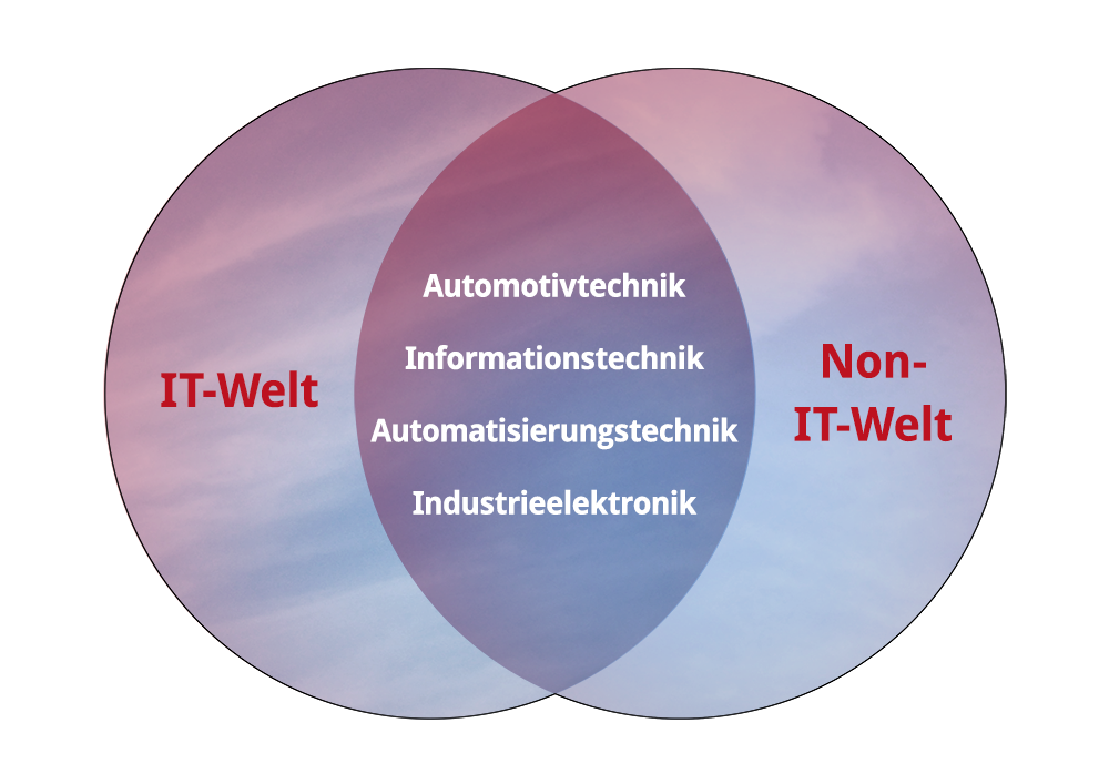 IT NonITWelt